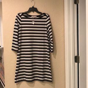 Brand New Ann Taylor Loft Tunic Top or Dress Med.